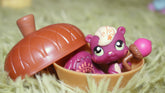 Acorn Display